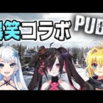 【Vtuber】雪汝 – 恐らく日本一平和なPUBGの動画だと思う。雪山MAP【爆笑】[2019.02.03]　「雪卍さん5万人おめでとう❄️」
